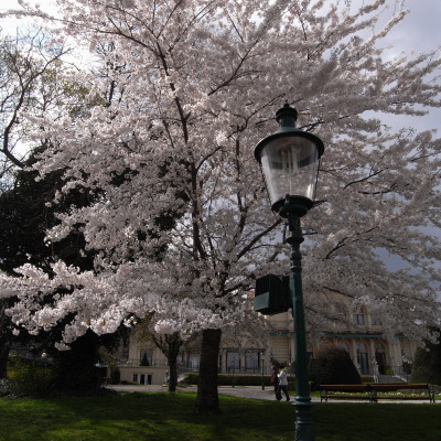 c0026612_23521151.jpg