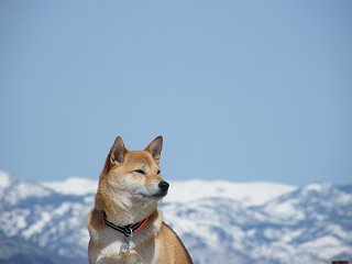 牧場の雪遊び_d0143214_22473310.jpg