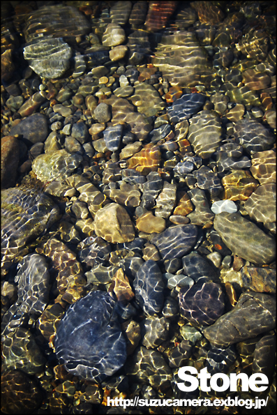 魚捕りと写真撮り_f0100215_23183225.jpg