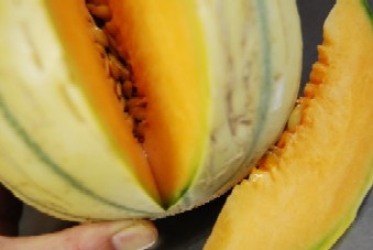 カヴァイヨンメロン_e0025817_2151824.jpg