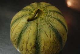 カヴァイヨンメロン_e0025817_265765.jpg