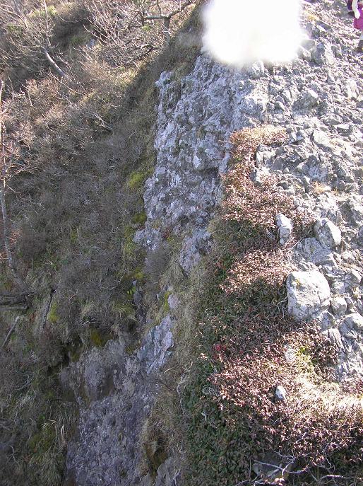 角田山ハイキング_f0050226_17332756.jpg