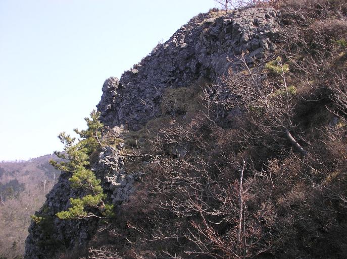 角田山ハイキング_f0050226_17335184.jpg
