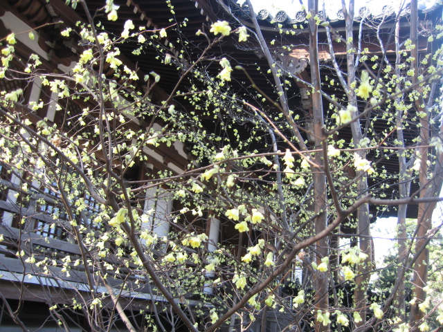 b0088037_7511490.jpg