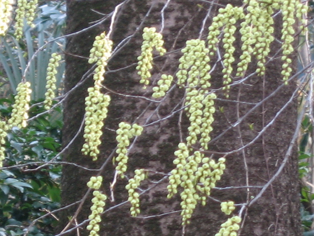 b0088037_7533472.jpg