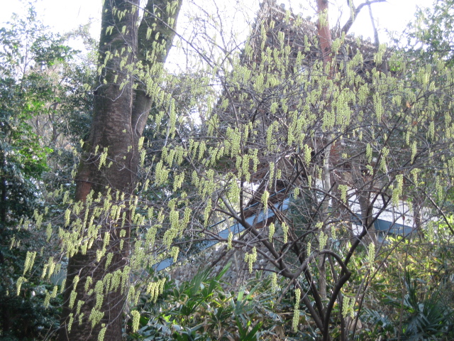 b0088037_7542989.jpg