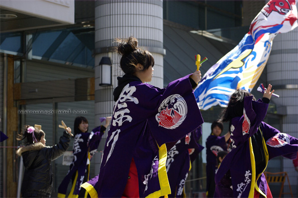 浜よさ　がんこ祭2008　*5_c0121738_12581219.jpg