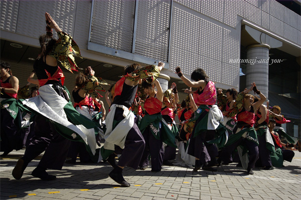 浜よさ　がんこ祭2008　*9_c0121738_23463215.jpg