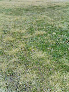 c0100148_17361681.jpg