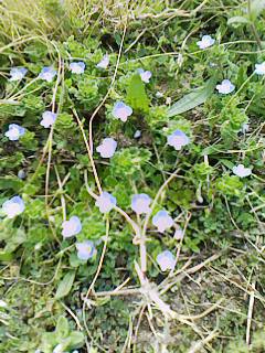c0100148_1744673.jpg