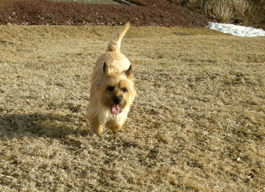 c0147548_22165157.gif