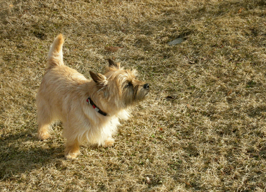 c0147548_2221382.gif