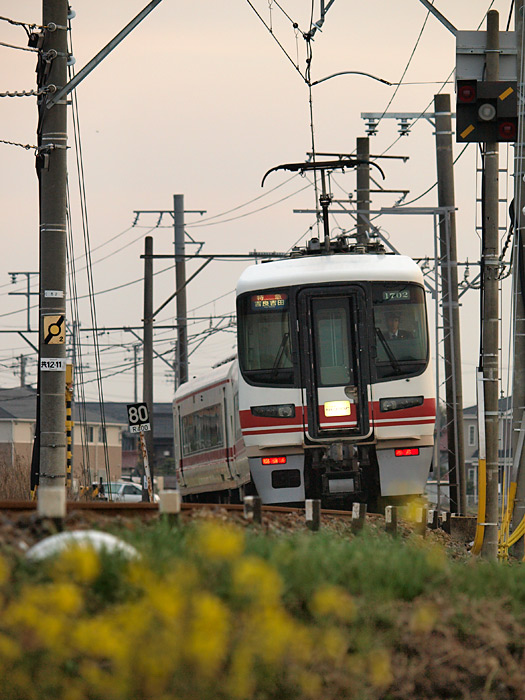 f0087348_1743774.jpg