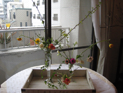 雨ですが。。。_d0139350_15412936.jpg
