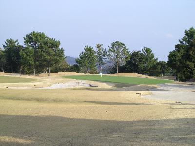f0031554_21243738.jpg
