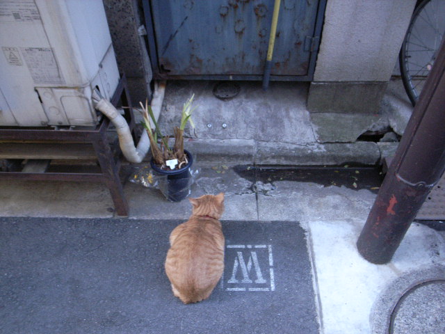 \"扉の向こうには、おつる\"ってこんなこと。_c0140560_12554387.jpg