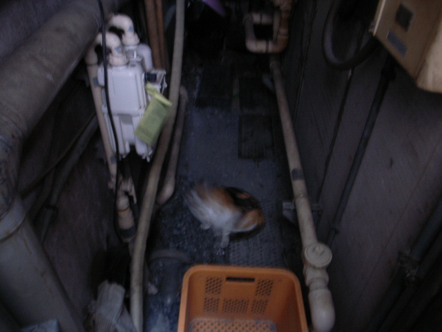 \"扉の向こうには、おつる\"ってこんなこと。_c0140560_13633.jpg