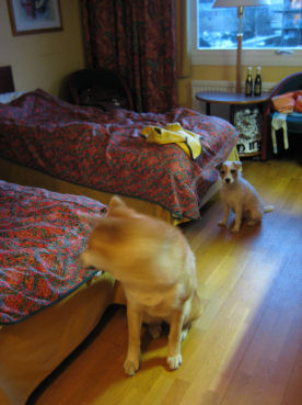 e0079166_41187.jpg