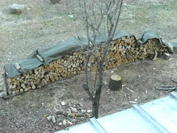 a0086067_2343852.gif