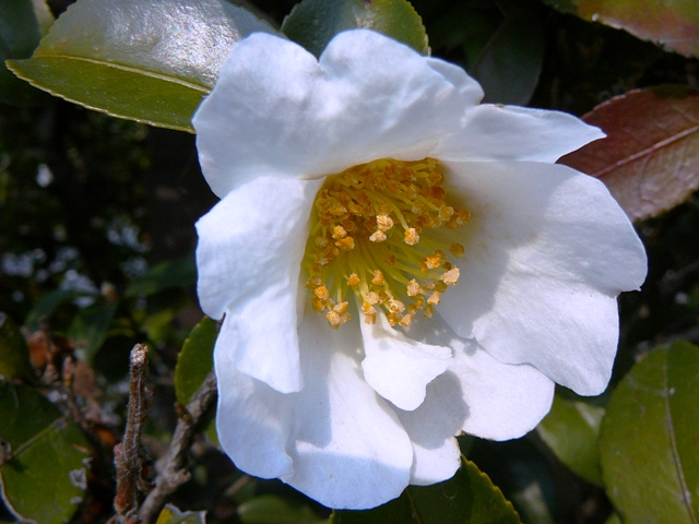 d0042474_1201118.jpg