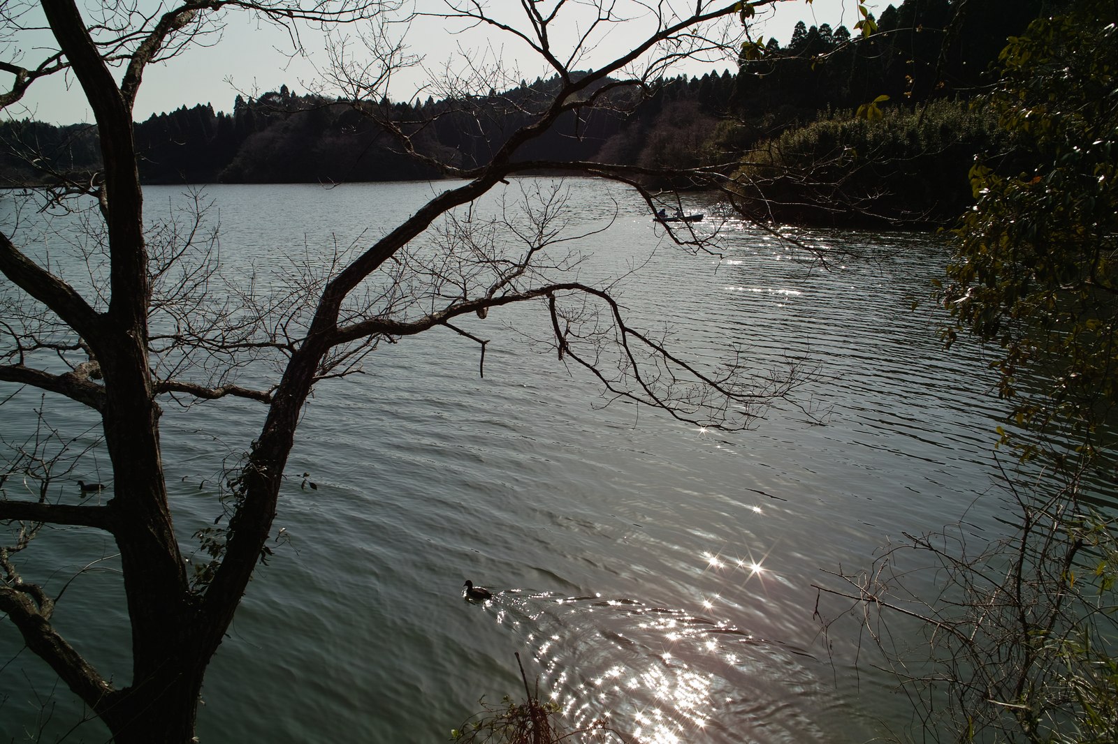 e0071178_1034293.jpg