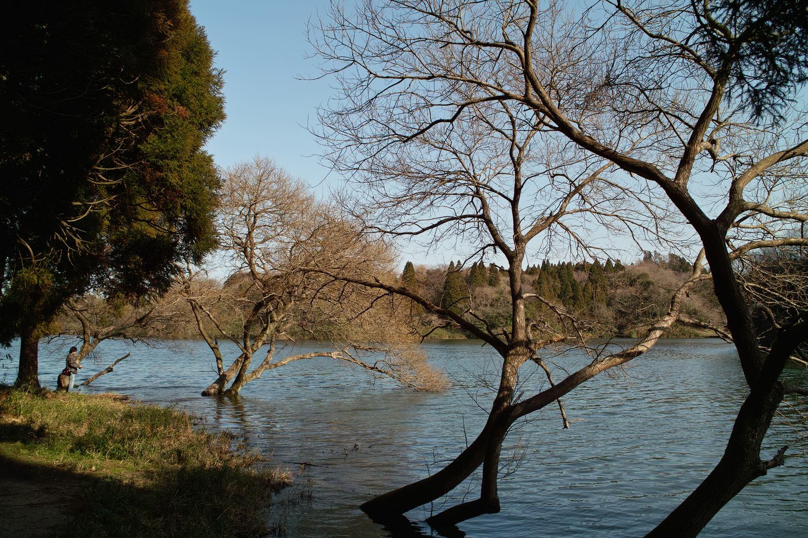 e0071178_5582947.jpg