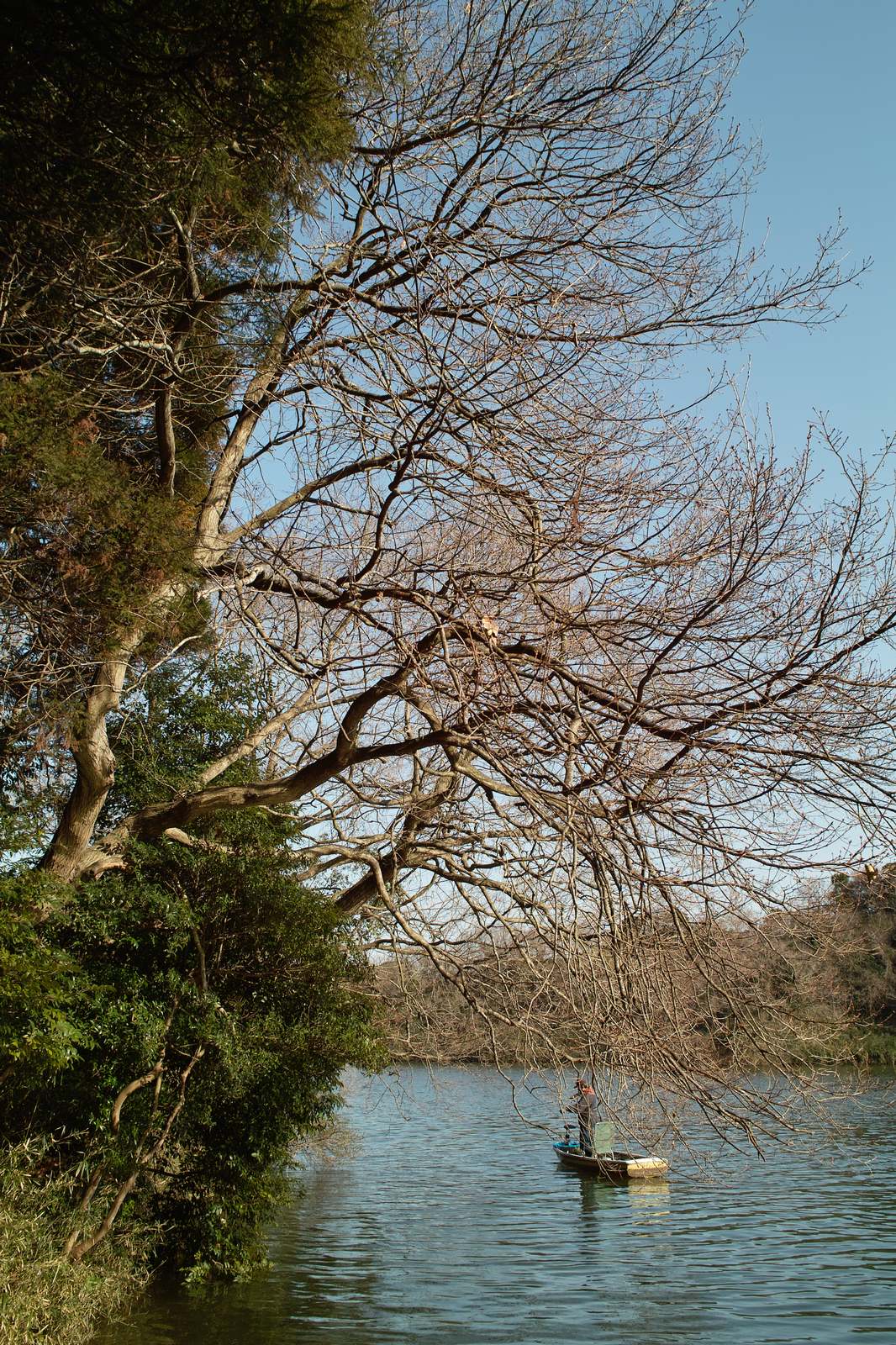 e0071178_661424.jpg