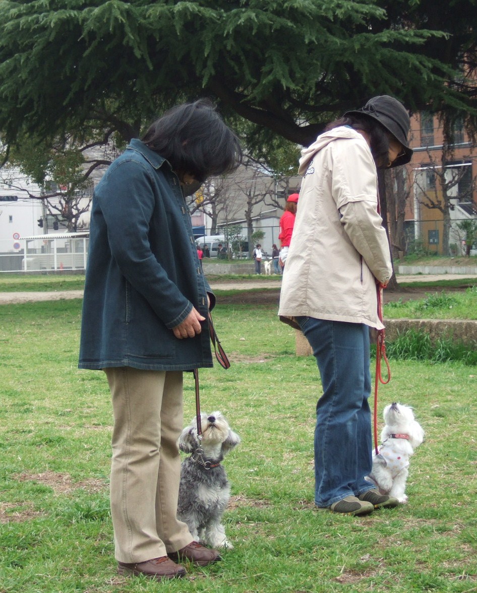 Dog School Report (90) 足を使う_e0009283_1727477.jpg