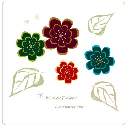 Winter Flower_d0089584_762922.jpg