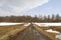 デコボコ道を。_d0028589_23114812.jpg