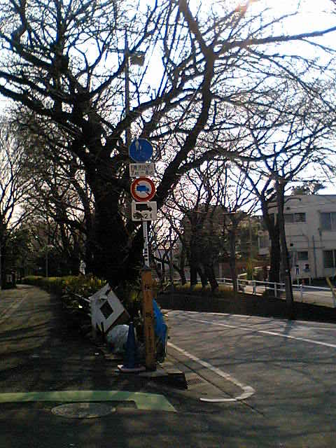 f0126492_04267.jpg