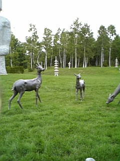 b0124595_013313.jpg