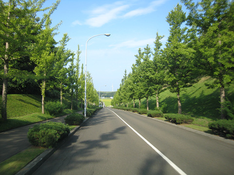 b0124595_0234372.jpg