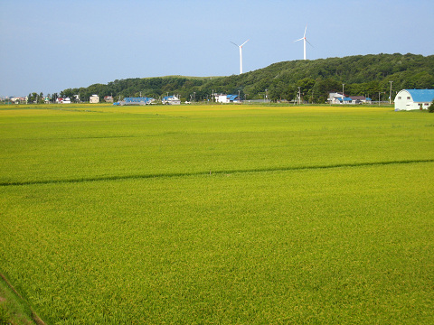 b0124595_024383.jpg
