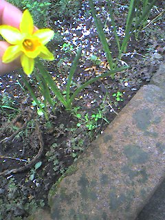 a0065800_15302840.jpg