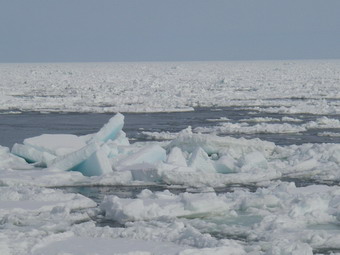 冬の生活　　　流氷ツアー_b0075609_149441.jpg