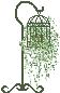 d0070113_1192321.gif