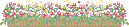 d0070113_11955100.gif