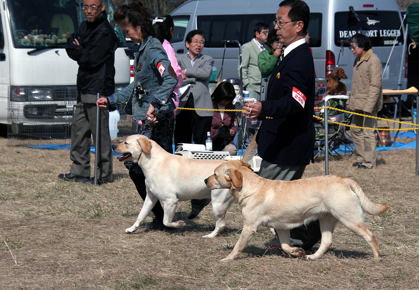 茨城県クラブ連合会展_d0151813_2575815.jpg