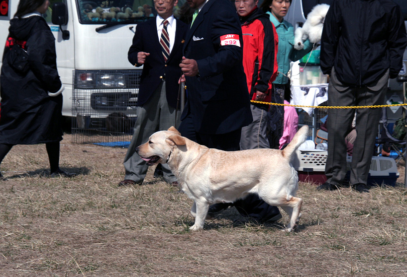 茨城県クラブ連合会展_d0151813_331431.jpg