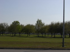 f0105318_11553962.jpg