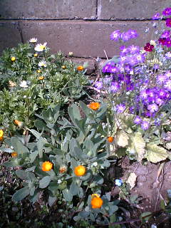 e0057224_23134989.jpg