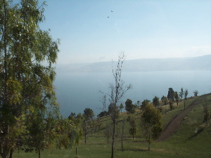 f0136327_746437.jpg
