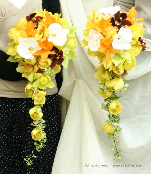 一会定期レッスン　募集のお知らせ_a0042928_22362586.jpg