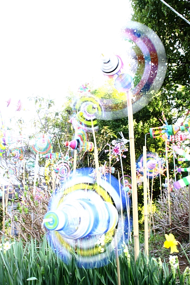 d0135330_14262663.jpg