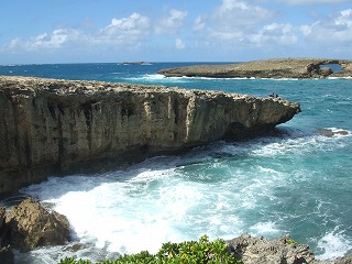 　　NORTH  SHORE  &  SEA  TURLES_b0111632_15244078.jpg