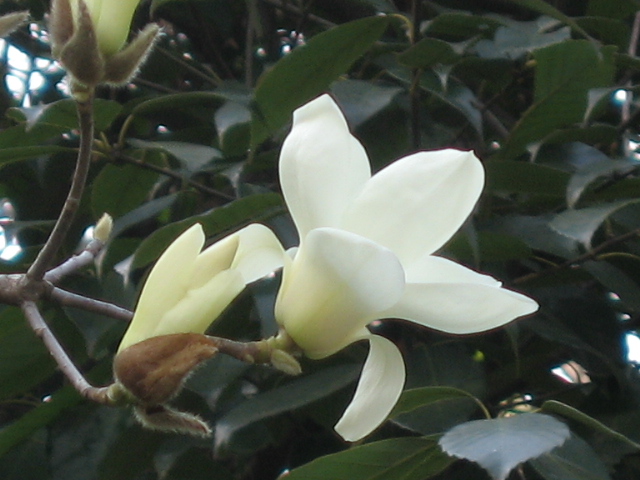 b0088037_22281499.jpg