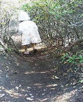 f0042637_15195267.jpg
