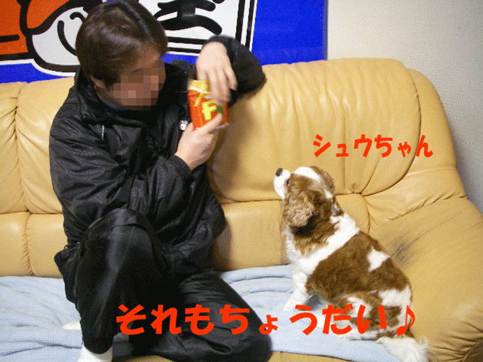 c0136838_14235355.gif