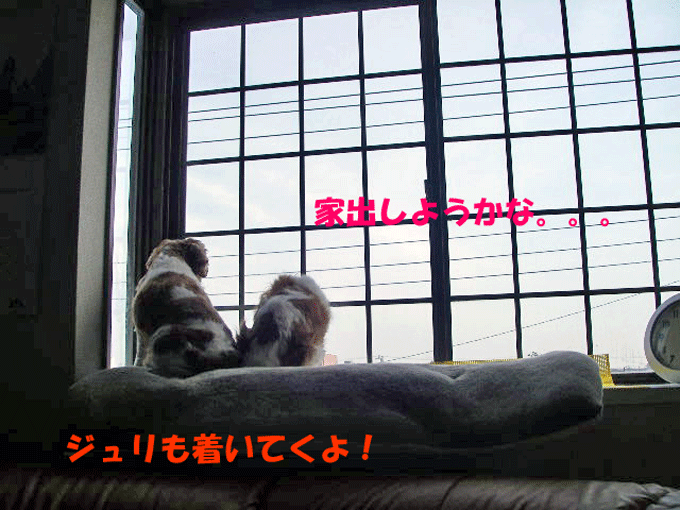c0136838_16381814.gif